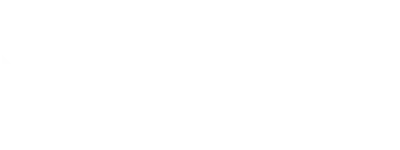 Bennellin Security Systems L.L.C logo
