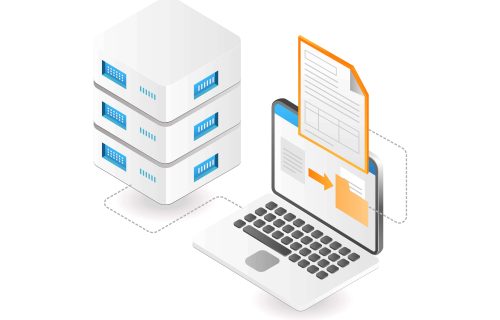 file server file server